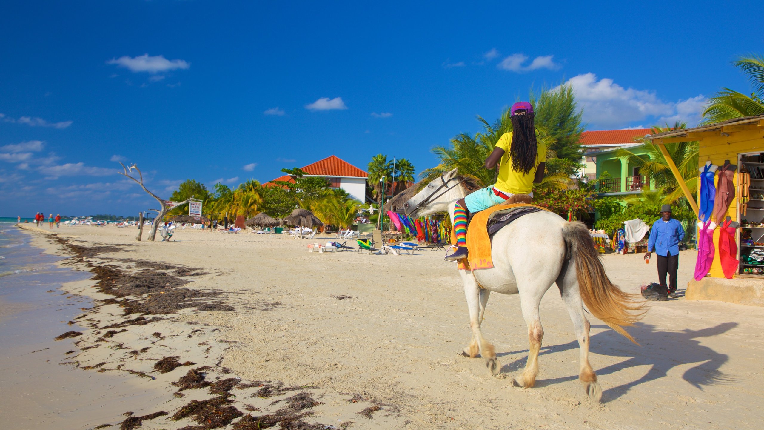 Negril Jamaica coastline view