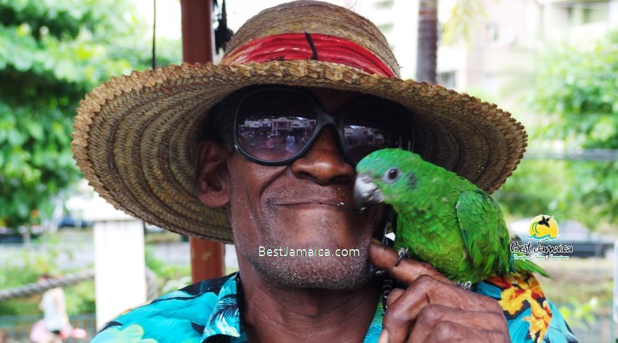 Ocho Rios excursions in Jamaica