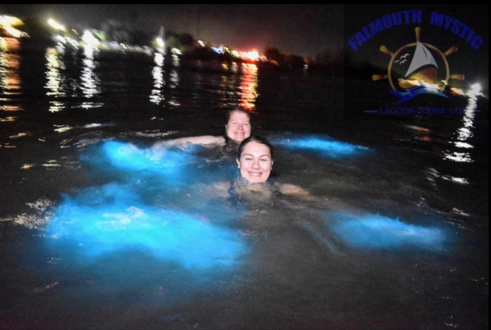 Visitors near the Luminous Lagoon attraction