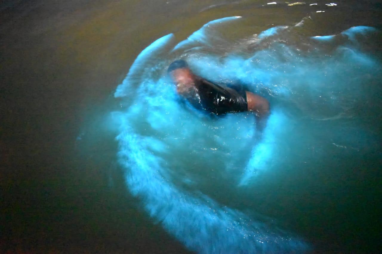 Night scene at the Luminous Lagoon