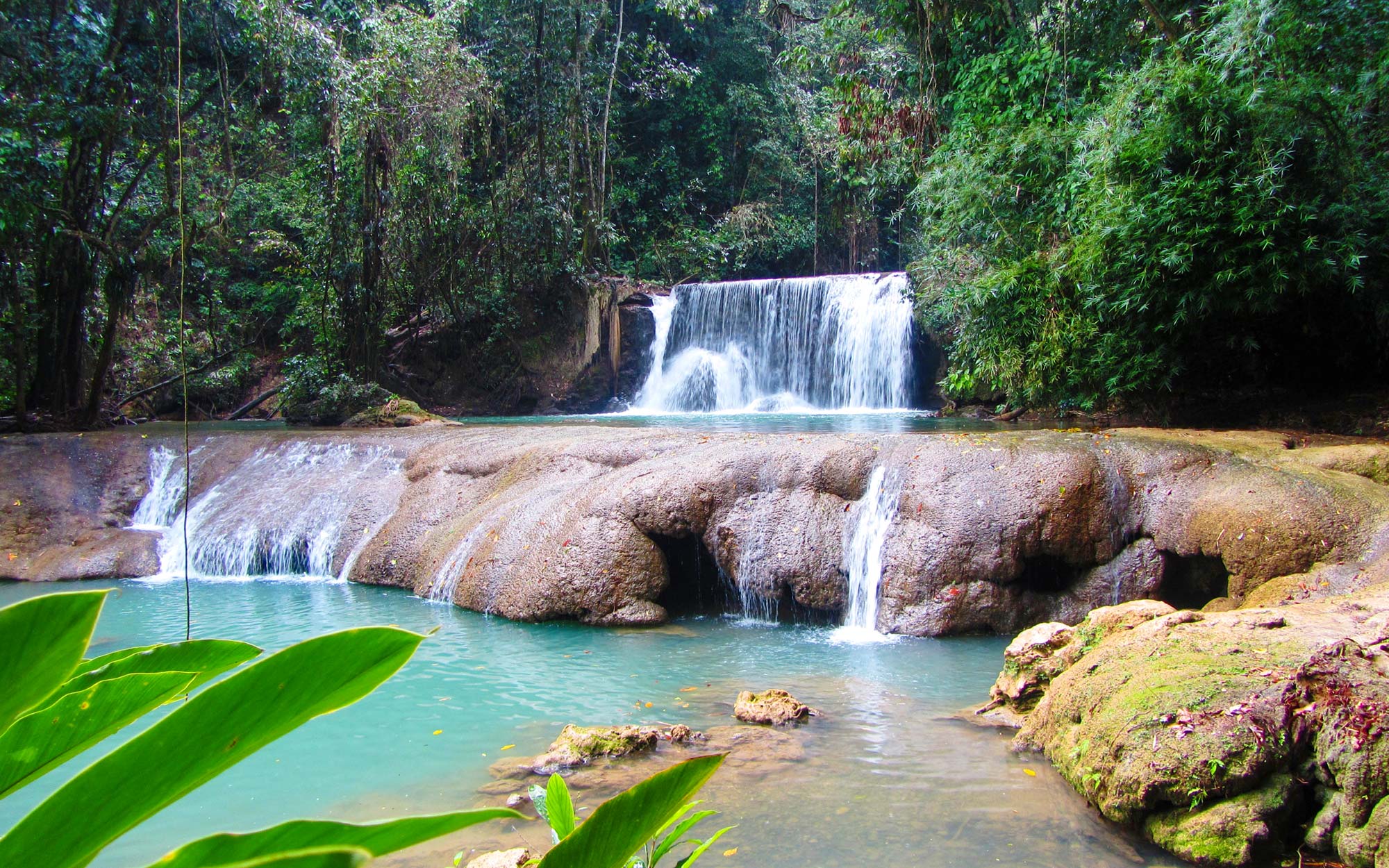 YS Falls Jamaica Tour