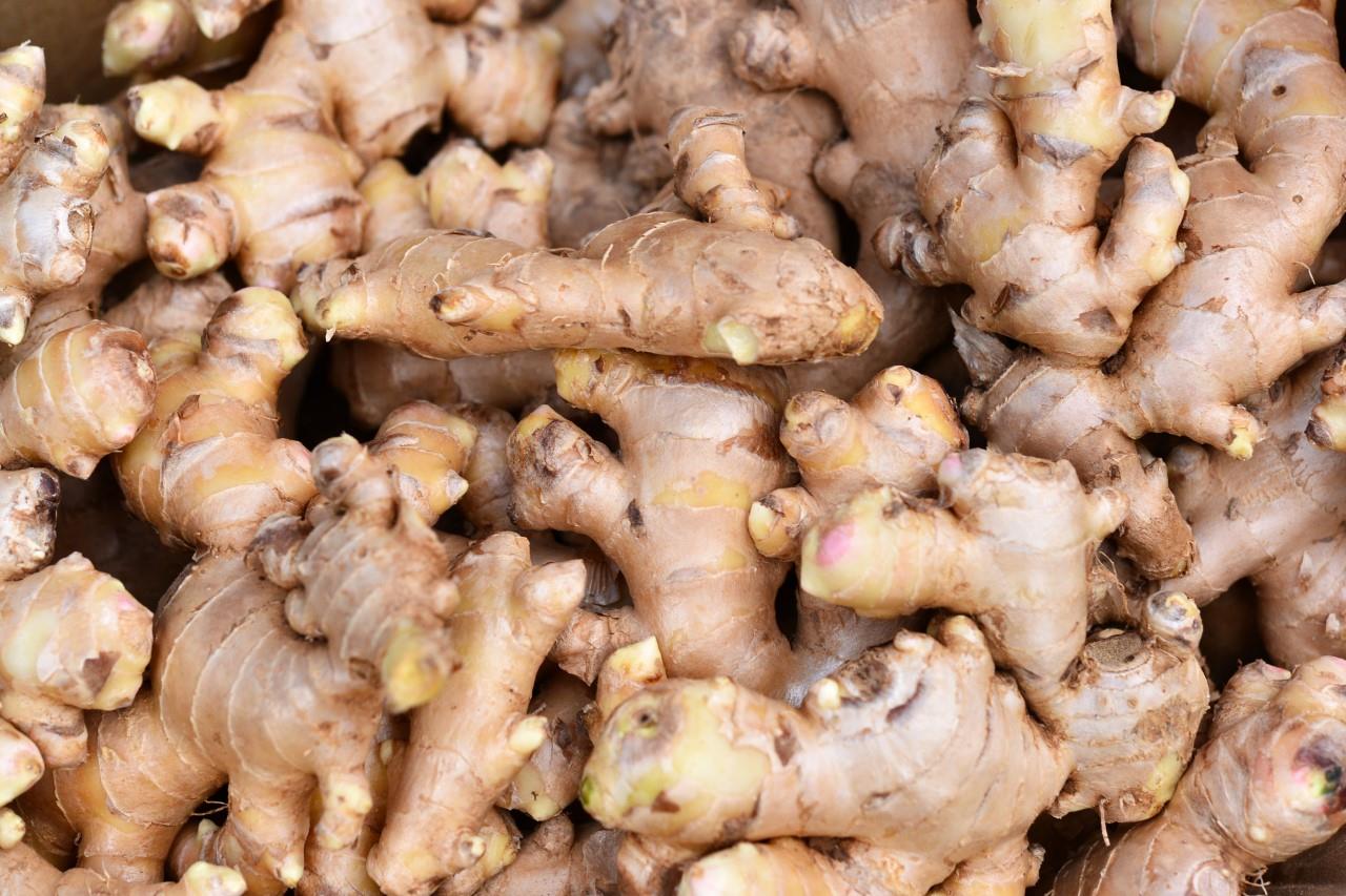 Fresh Jamaican ginger root