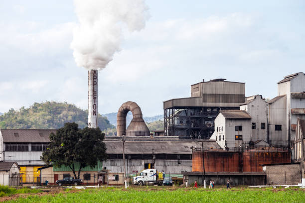 Appleton Estate Rum Tour Jamaica