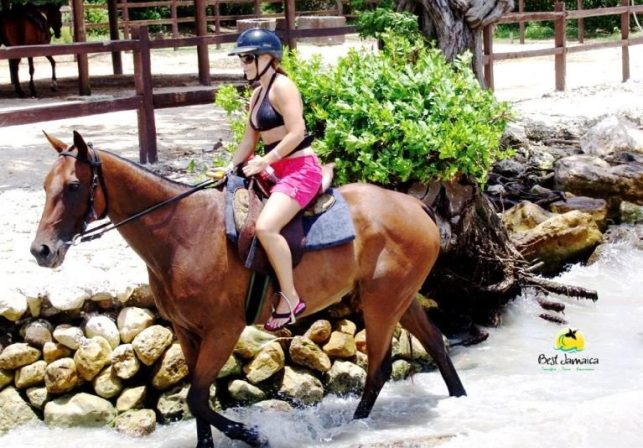 horse back ride and swim Horse back ride and swim